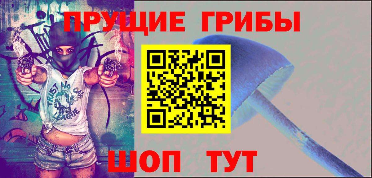 Галлюциногенные грибы Psilocybine cubensis  Вход с VPN  Бутурлиновка 
