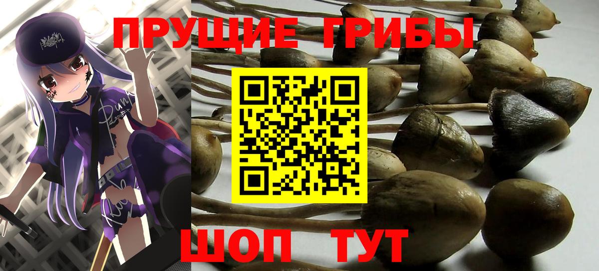 Галлюциногенные грибы мицелий Бутурлиновка